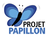 Projet_papillon_150